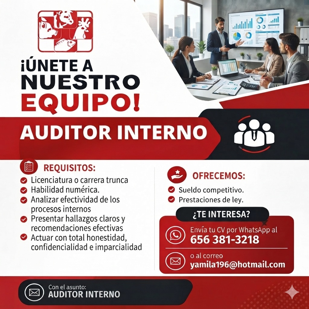 auditor-interno